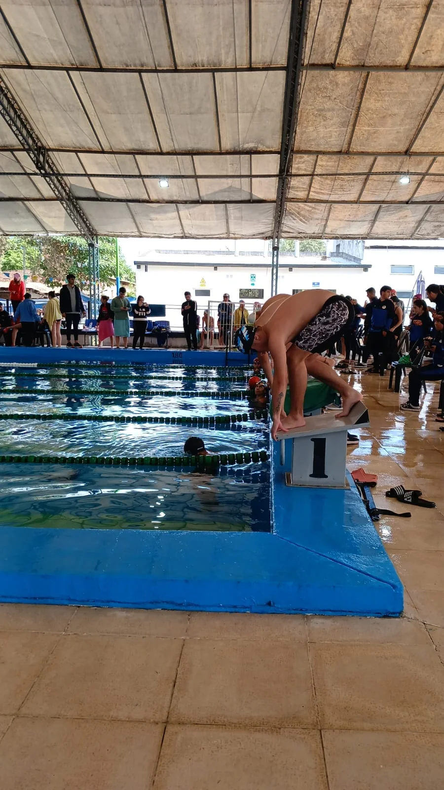 Entrenamiento MVC